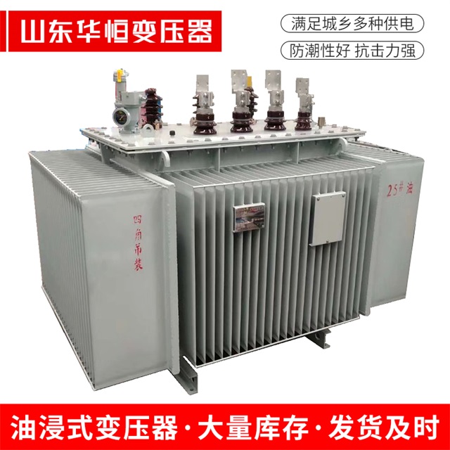 S13-10000/35上高上高上高电力变压器厂家