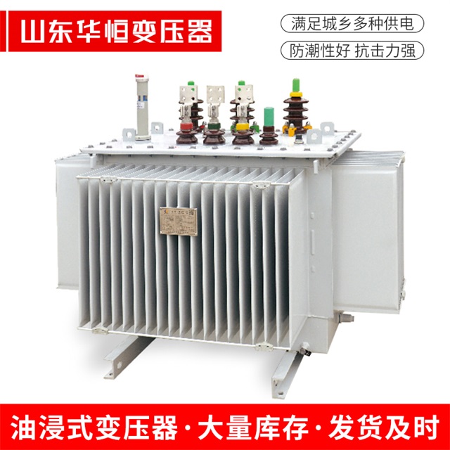 S13-10000/35上高上高上高电力变压器